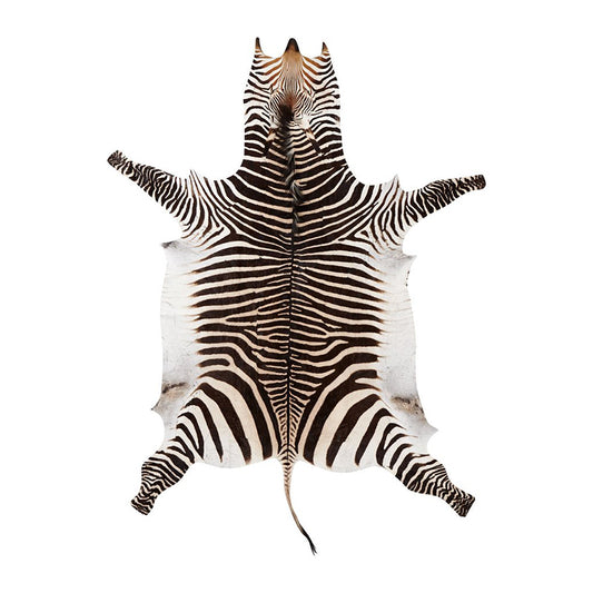 Zebra Hide - General Selection