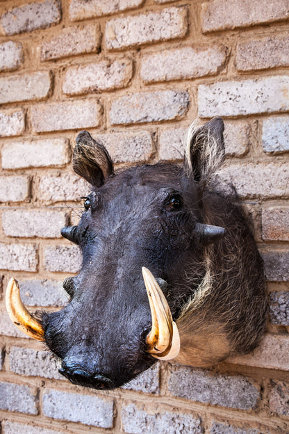 Warthog Shoulder Mount