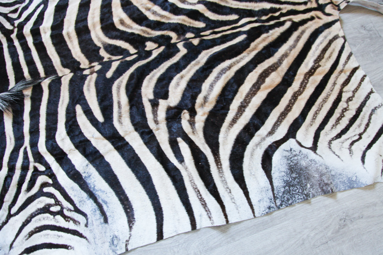 Zebra Hide H03