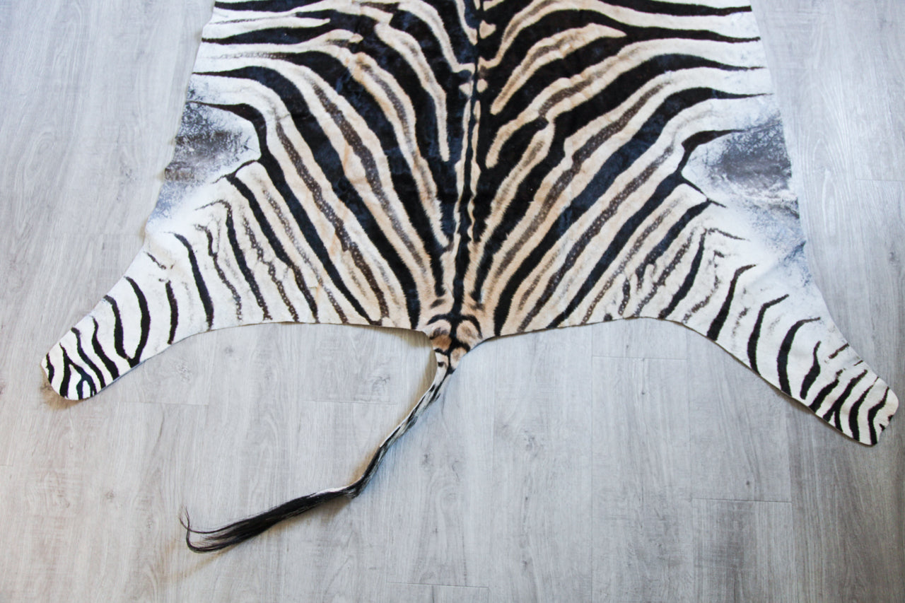 Zebra Hide H03