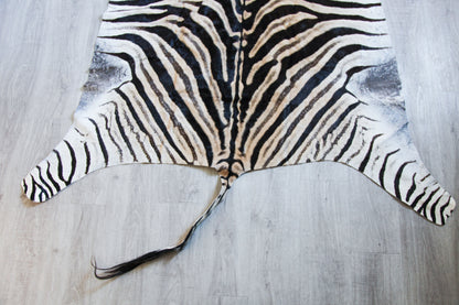 Zebra Hide H03