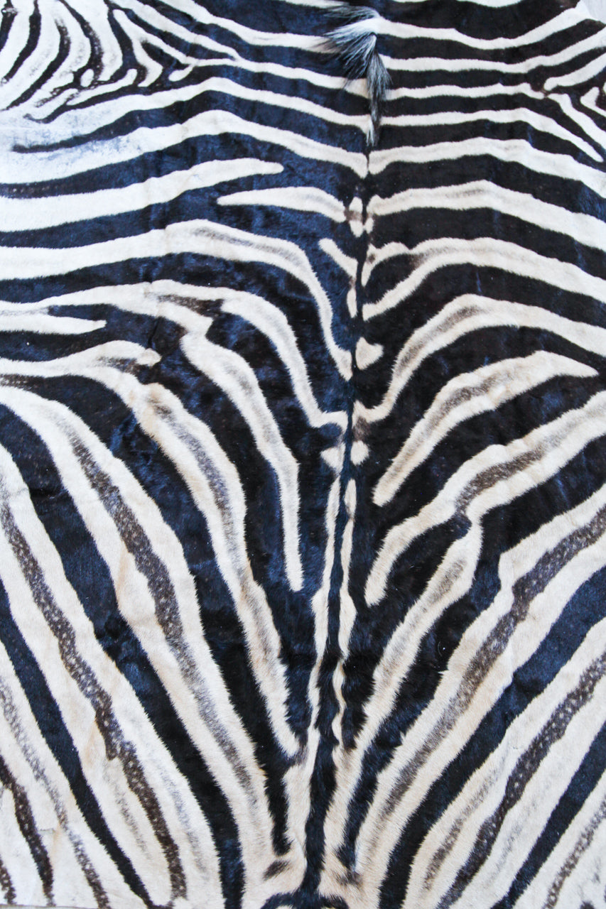 Zebra Hide H03