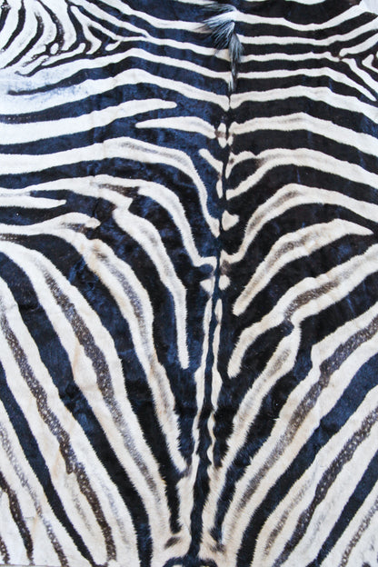 Zebra Hide H03