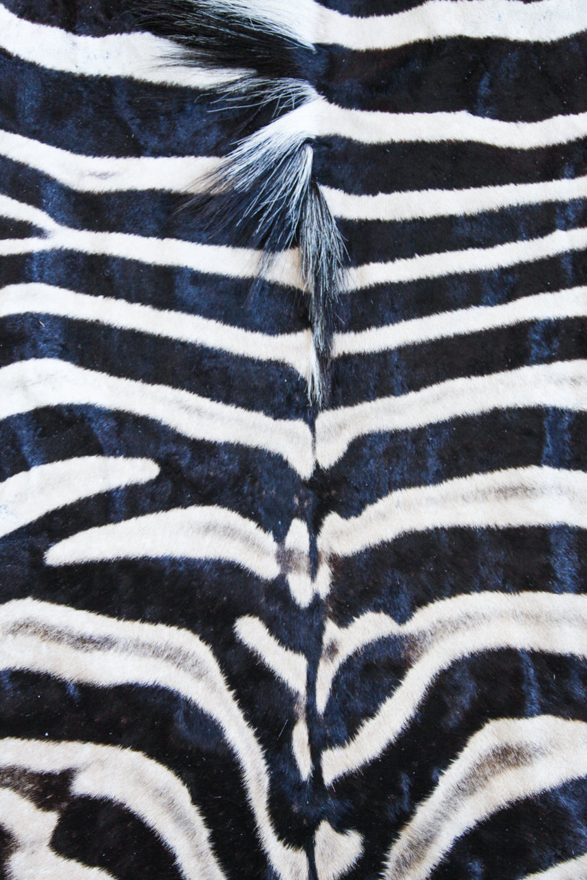 Zebra Hide H03