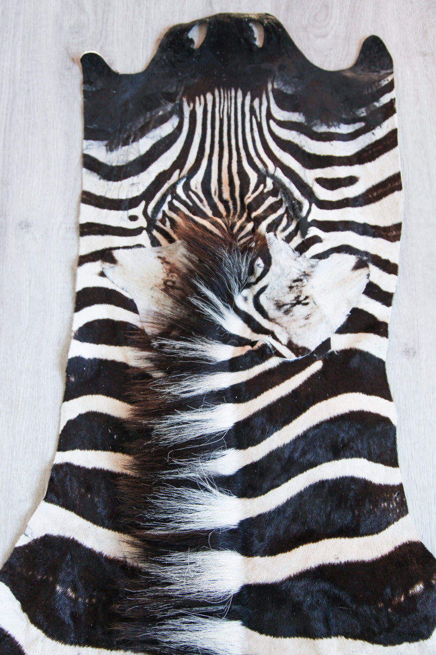 Zebra Hide H03