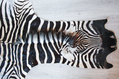 Zebra Hide H03